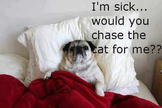 Illustration for article titled I'm sick....